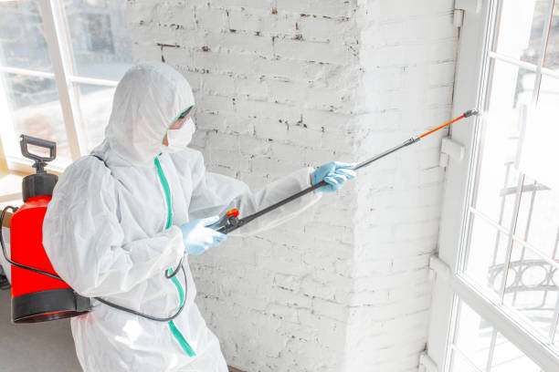 Best Mold Odor Removal Services in Drew, MS