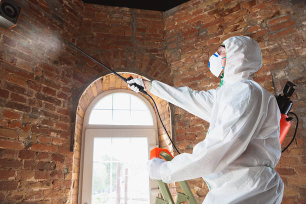 Best Biohazard Mold Removal in Drew, MS